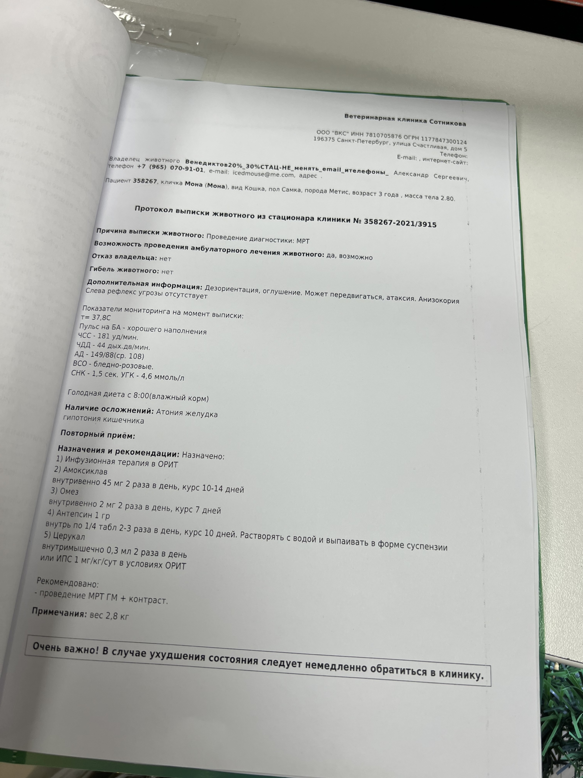 Продолжение поста «Где находить ответственные ручки и как не ошибиться в  своём выборе?! Моя новая-старая подопечная в тяжёлом состоянии доставлена в  Клинику» | Пикабу