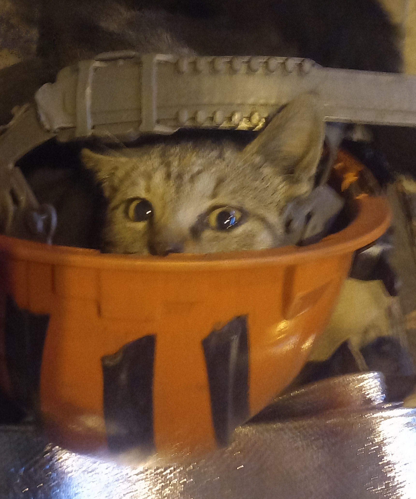 Грустный кот на заводе