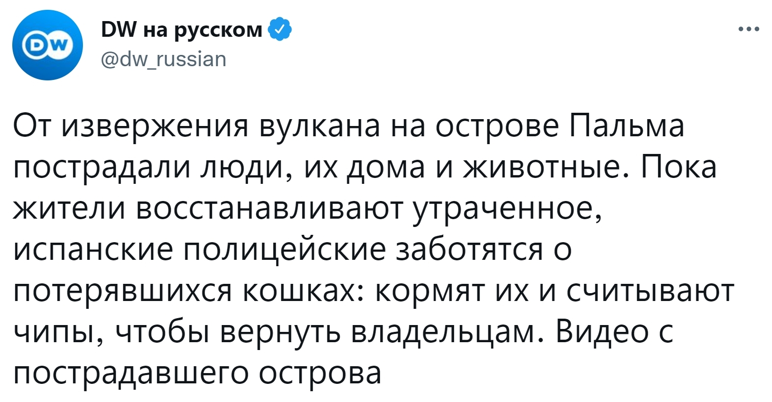 После извержения вулкана на испанском острове Пальма. Полицейские решили  позаботиться о потерявшихся кошках и других животных | Пикабу