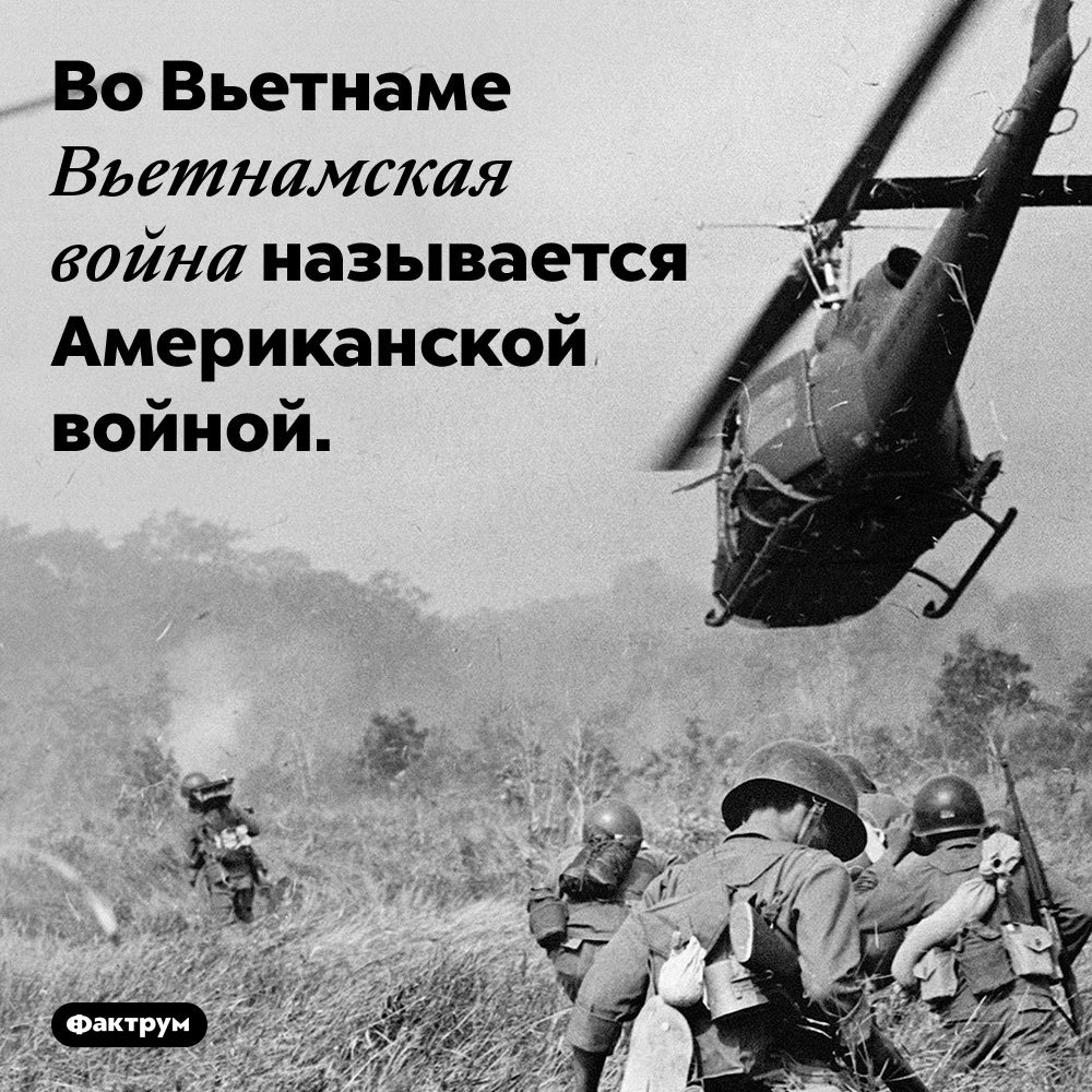 Шелковые жилеты монголов, бритые лица греков и последний король Саксонии —  в подборке интересных фактов о войне | Пикабу