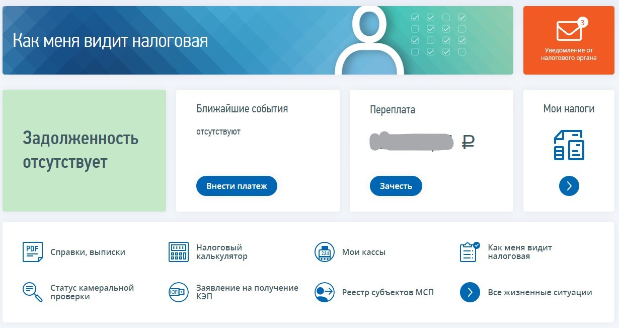 Налоговая. Личный кабинет ИП. Переплата | Пикабу