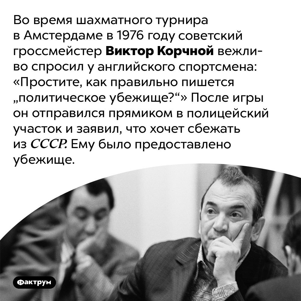 Драка с осьминогом, олимпийский брейкдансинг, ходьба по кубикам  конструктора и другие интересные факты из мира спорта | Пикабу