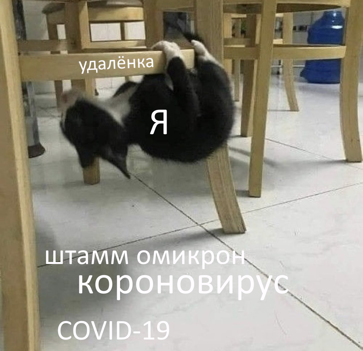 Может к нам в офис? Ненене Пикабу