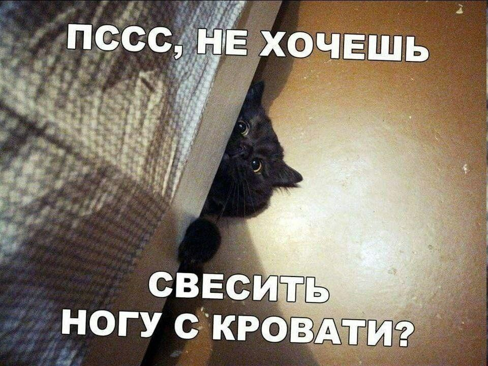 Пробудилось древнее зло | Пикабу