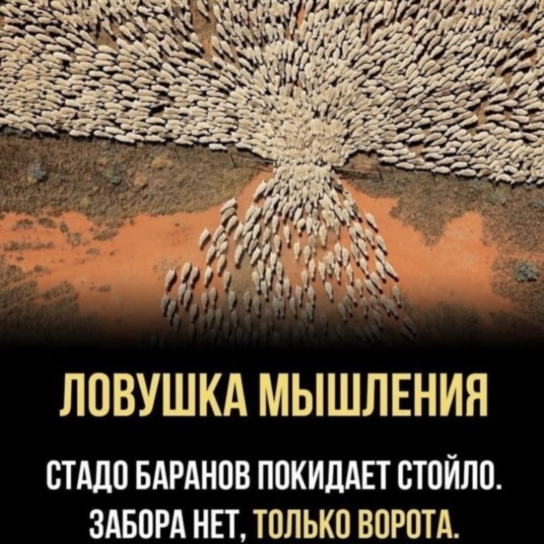 Ловушка мышления | Пикабу
