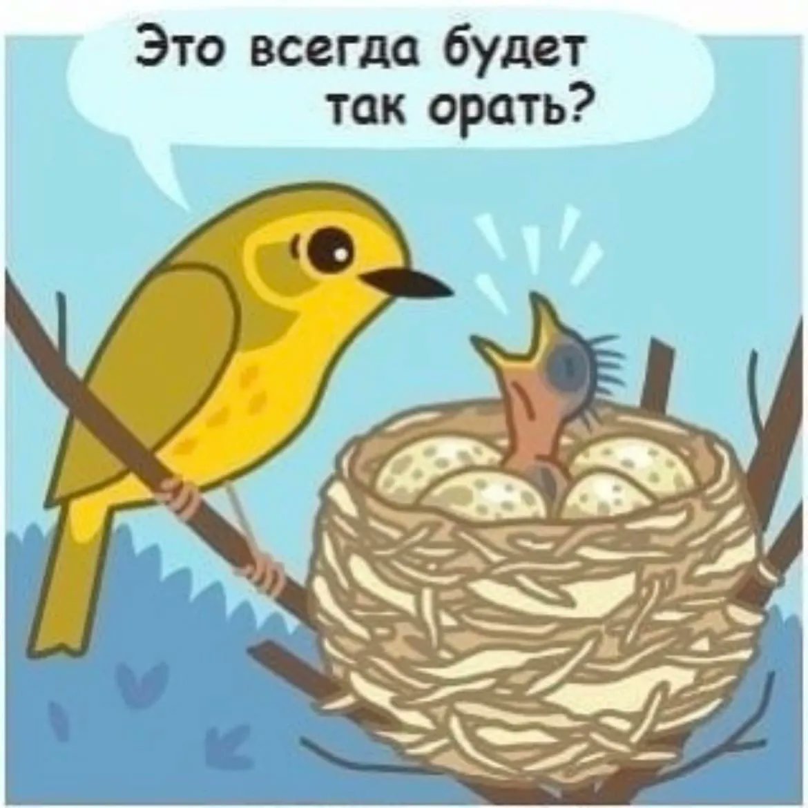 Пикабу марихуана Пикабу марихуана как настроить торрент для тор браузера гирда