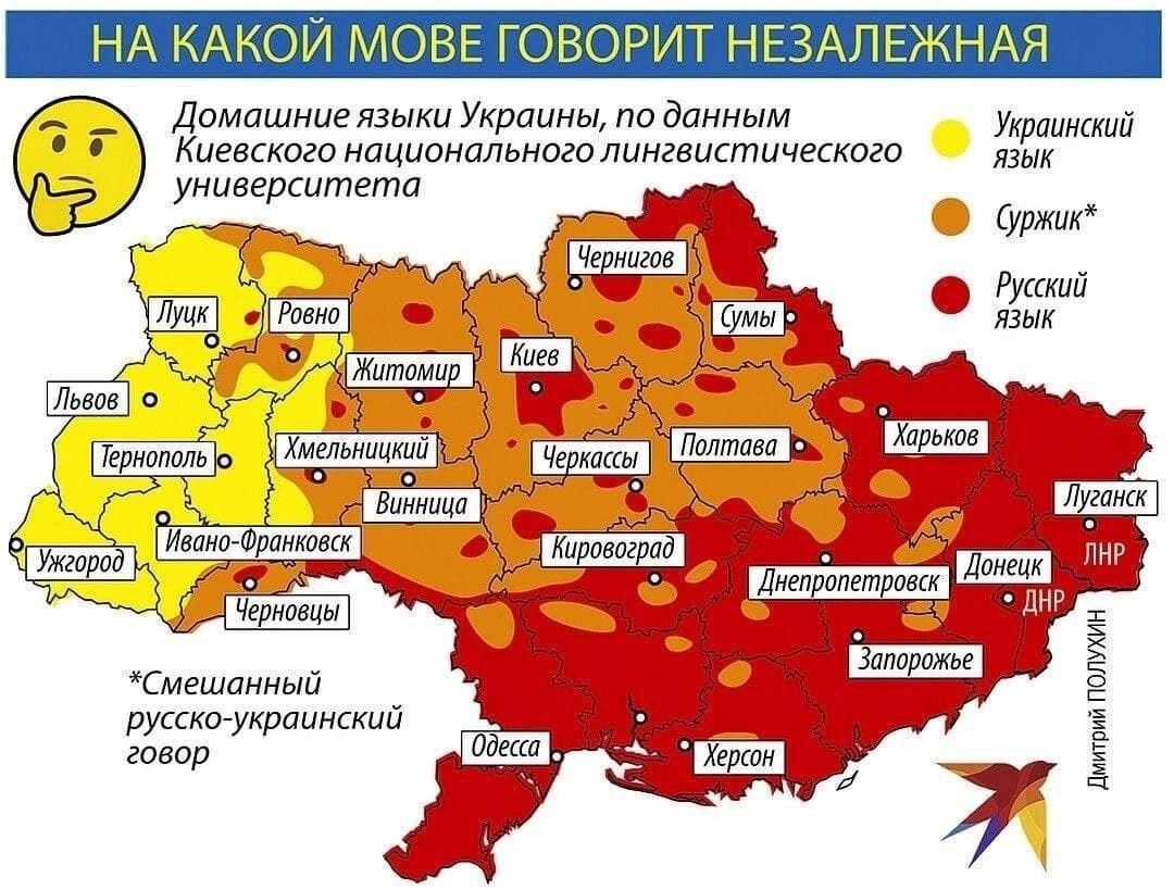 Уже в этом году жителей Украины ждёт наказание за использование родного  русского языка в общественной и официальной жизни | Пикабу