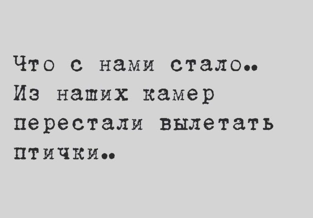 Фотограф пошутил внимание сейчас вылетит