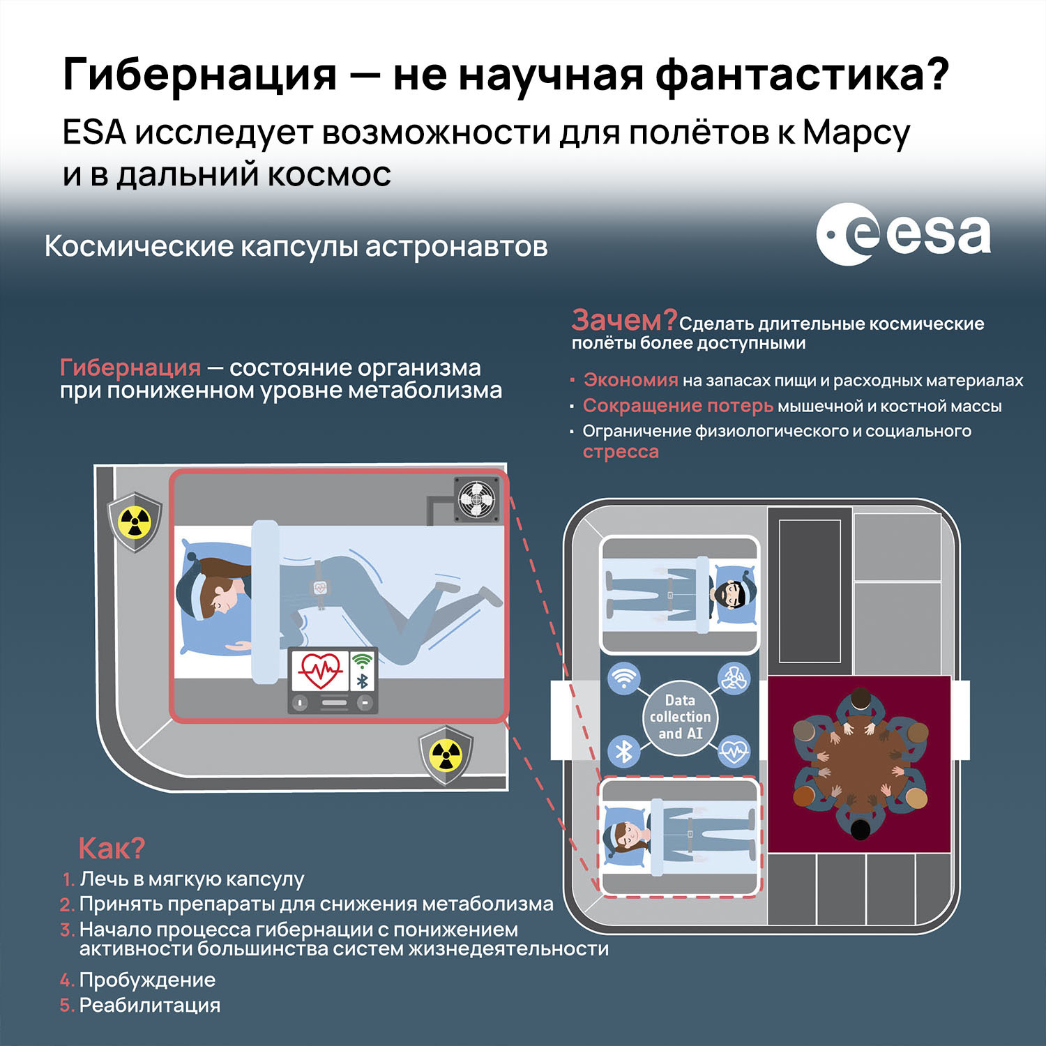 Гибернация — не научная фантастика? ESA исследует возможности для полётов к  Марсу и в дальний космос | Пикабу