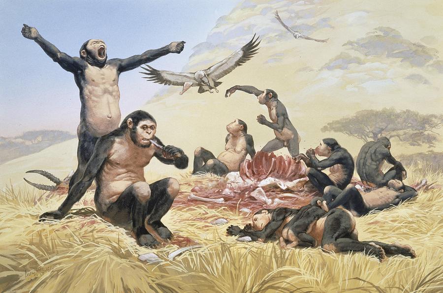 Первый человек жил спустя 40000 лет после заселения людьми Австралии.  Научные основы православной культуры, о которых не расскажут в школе |  Пикабу