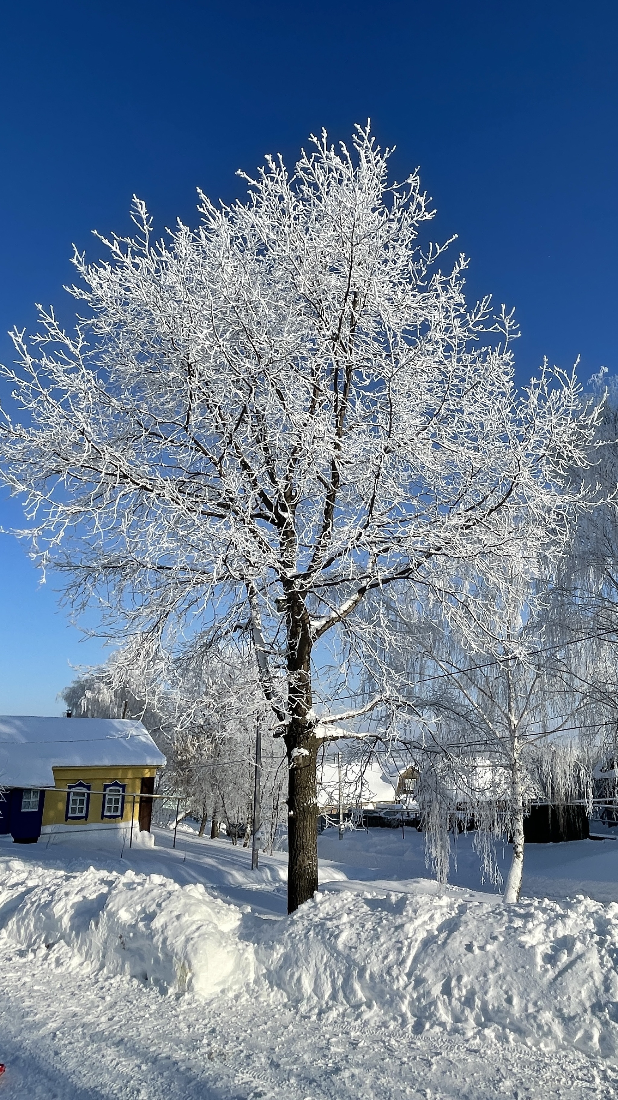 Как городские живут теперь в деревне | Пикабу