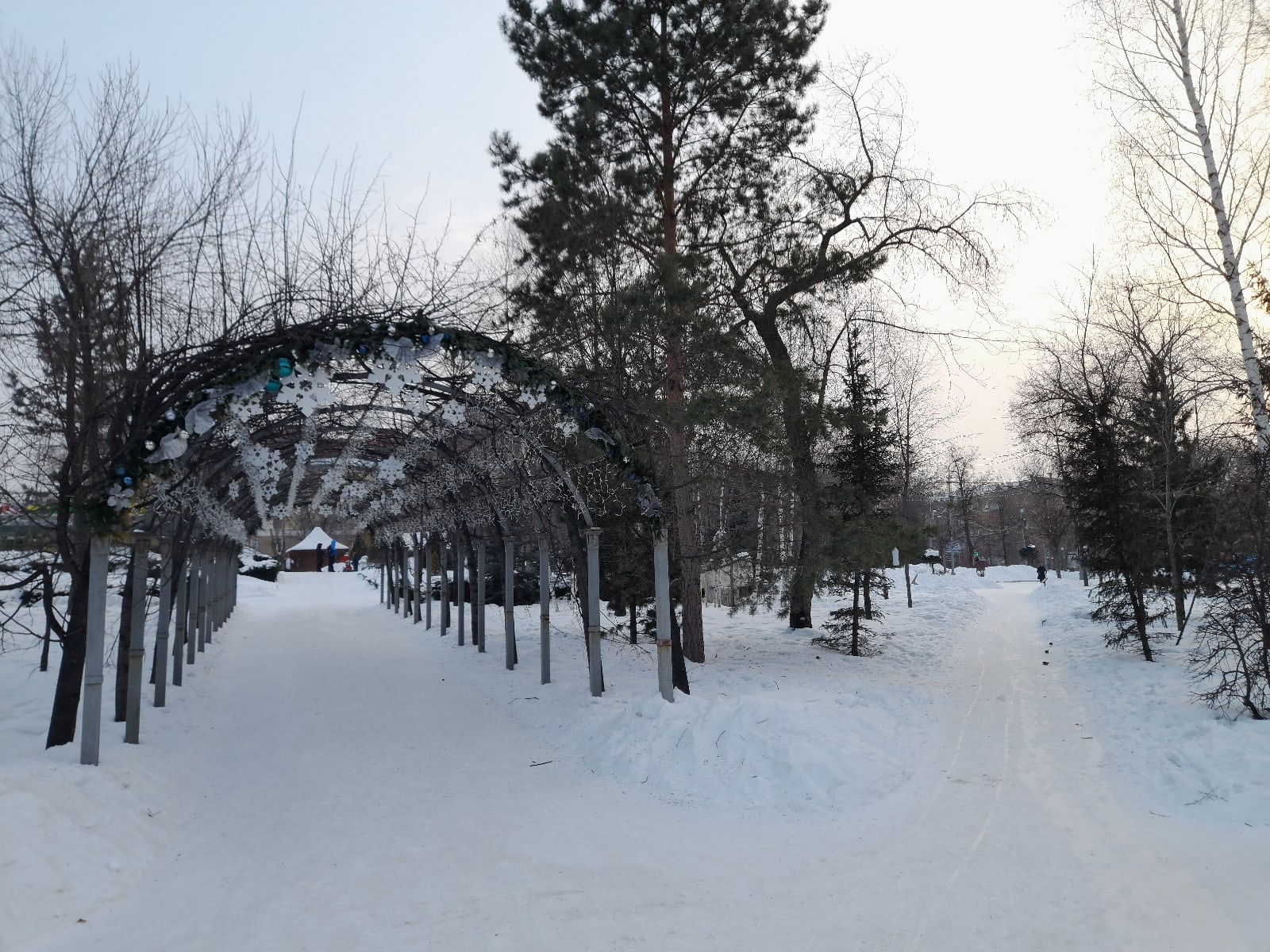 Мой фотографии - Парк Кирова и Монумент славы и мой собакен. Новосибирск |  Пикабу