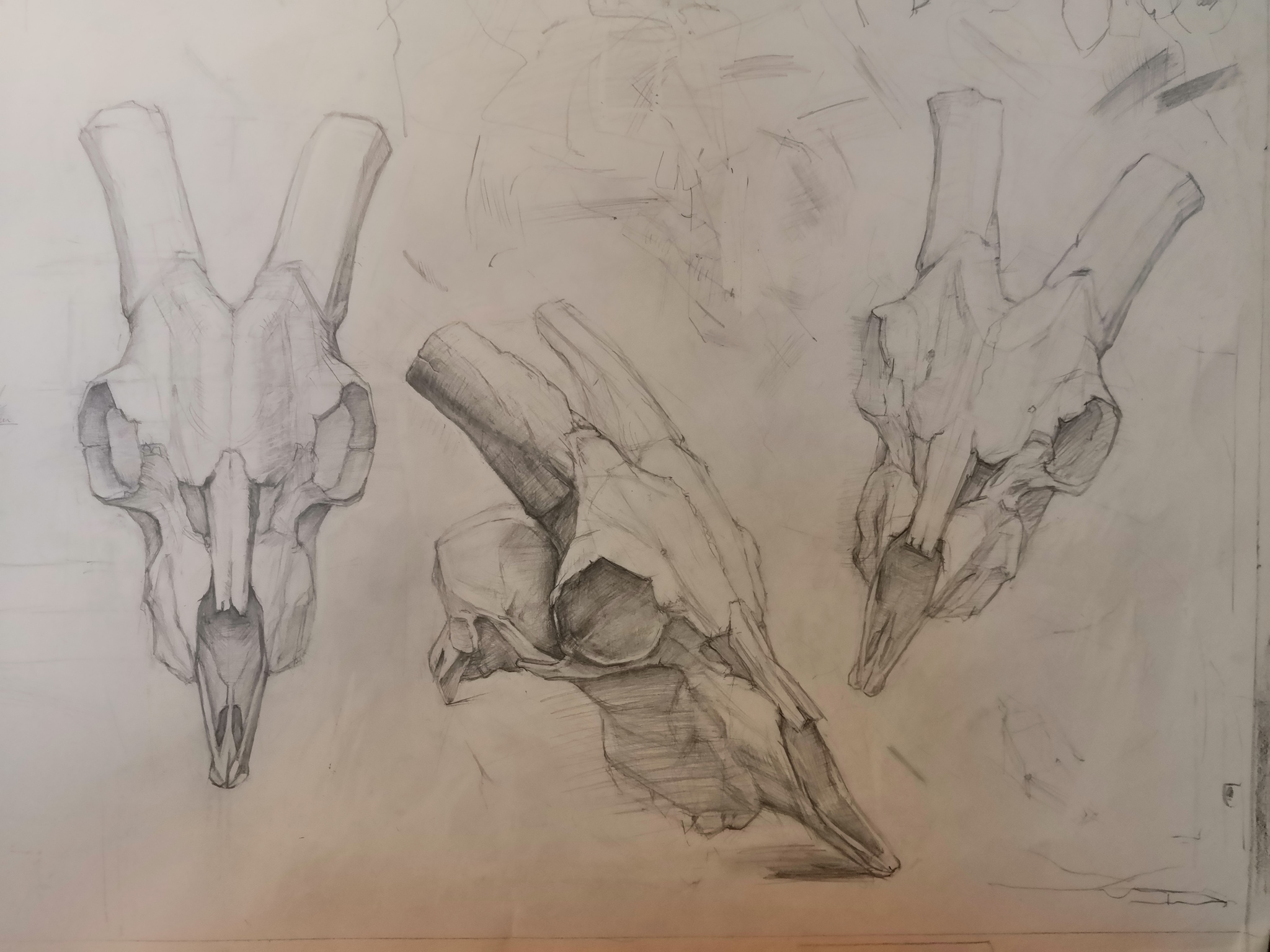 Рисунки карандашом драконы из Скайрима