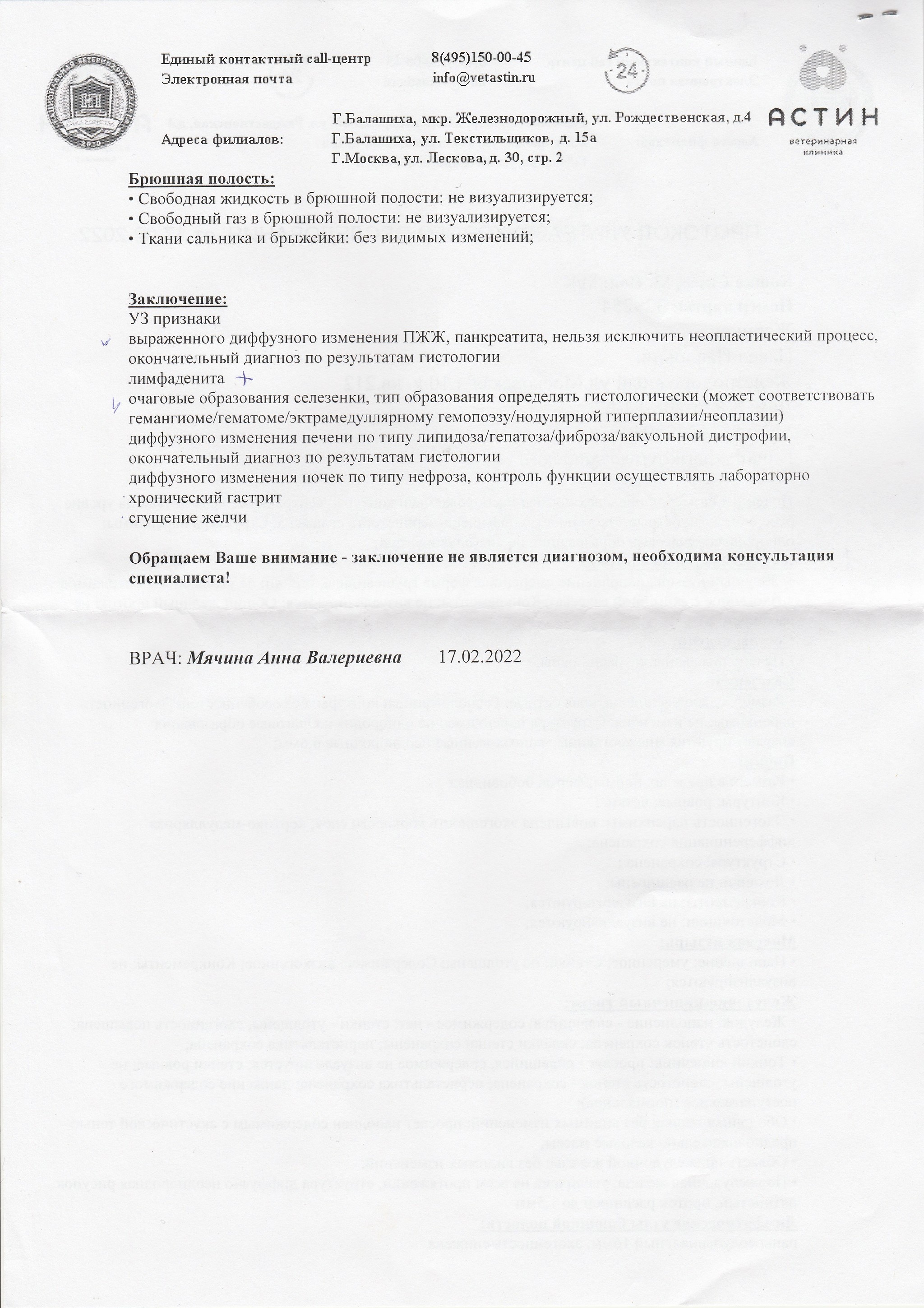 Нужна консультация от ветеринаров | Пикабу