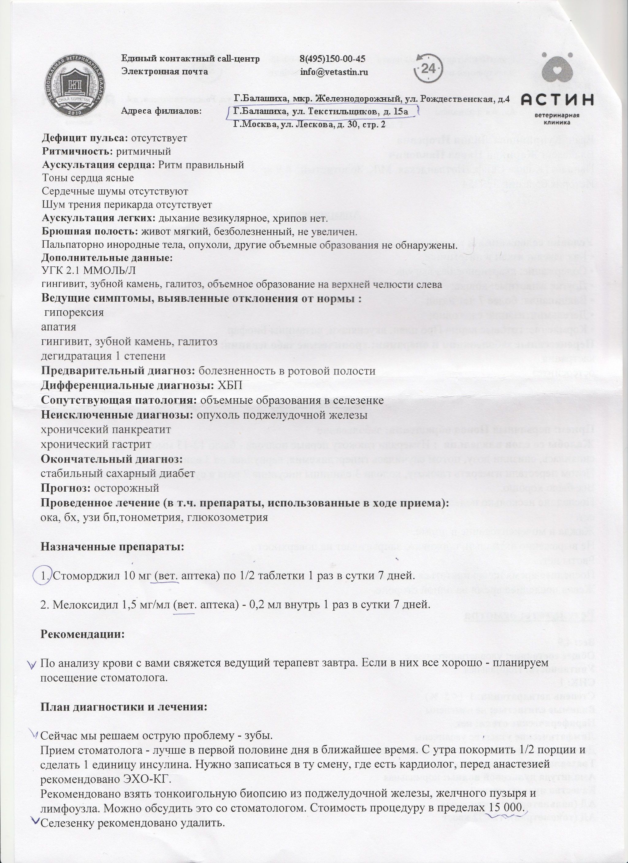 Нужна консультация от ветеринаров | Пикабу