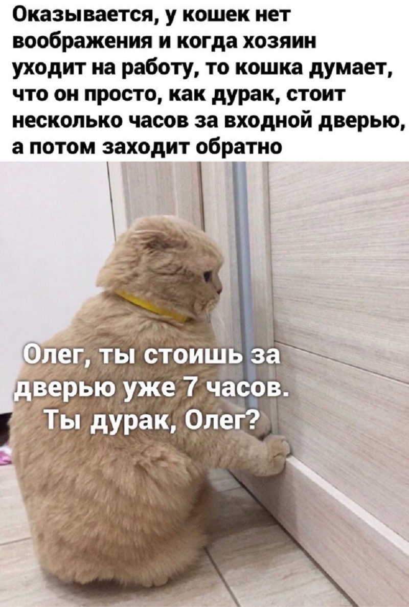 Очевидность | Пикабу