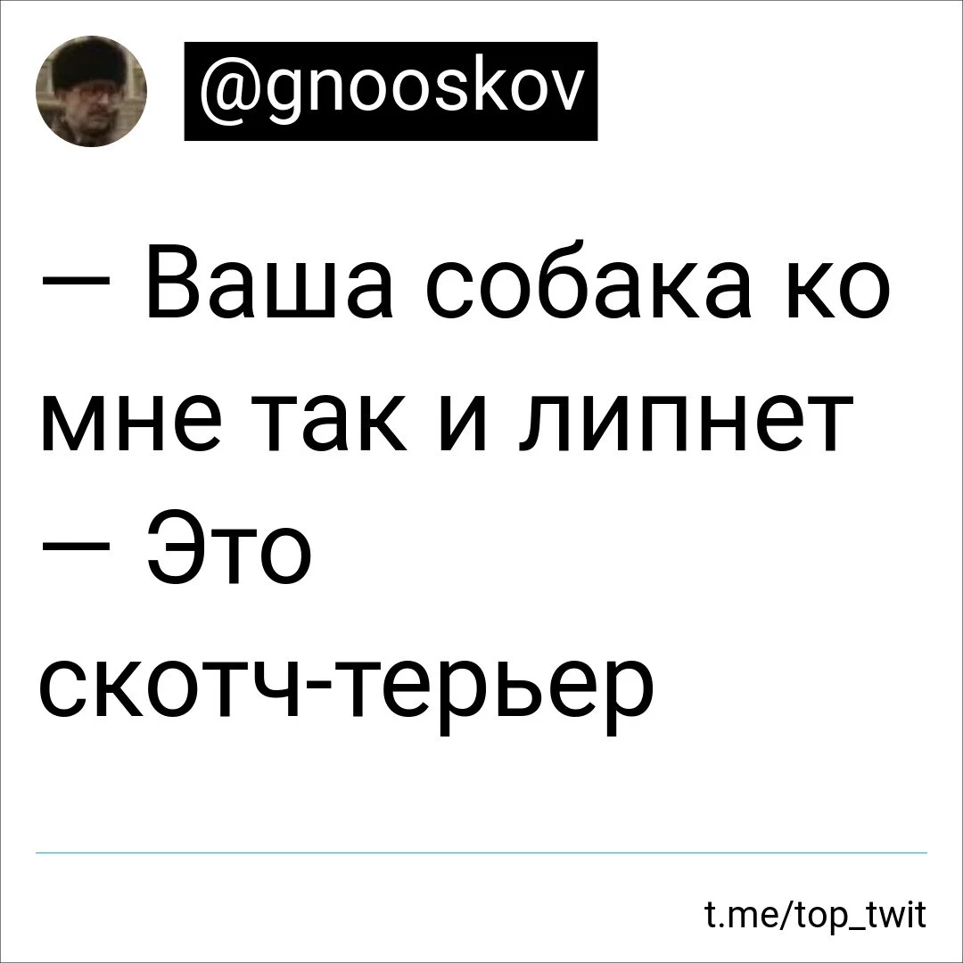 Скотч | Пикабу