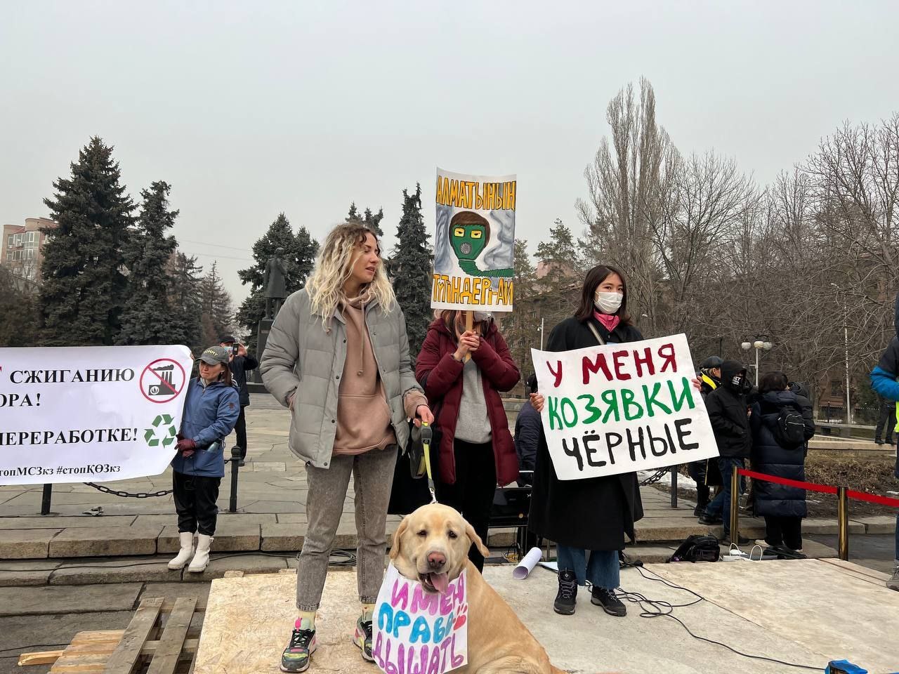 Победитель конкурса на лучший протестный плакат. Митинг за чистый воздух в  Алматы. 26.02.22 | Пикабу