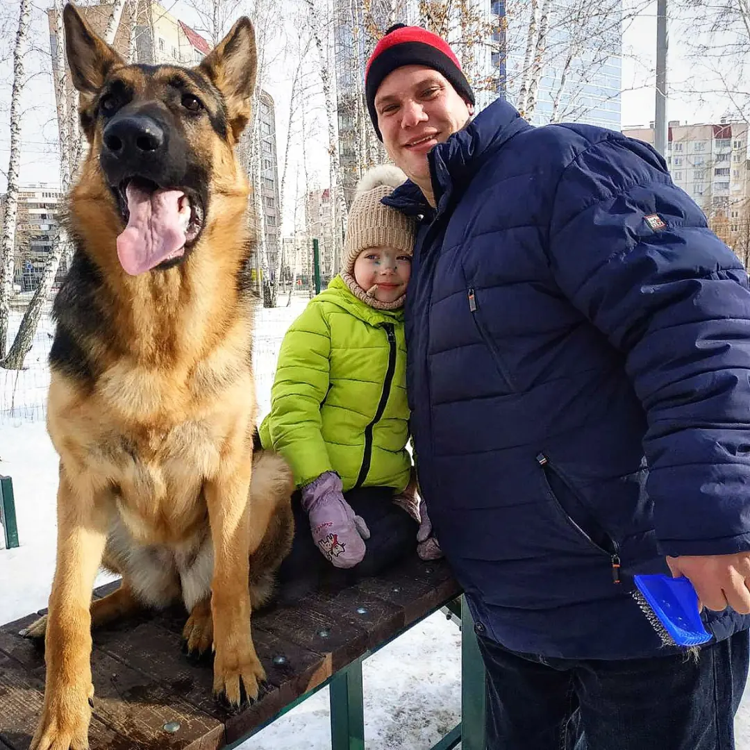 ветрянка и собака в доме (96) фото