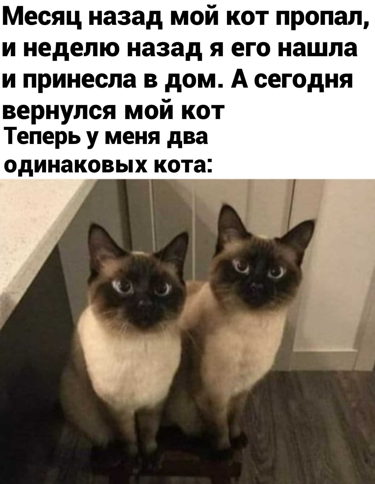 Клоны | Пикабу