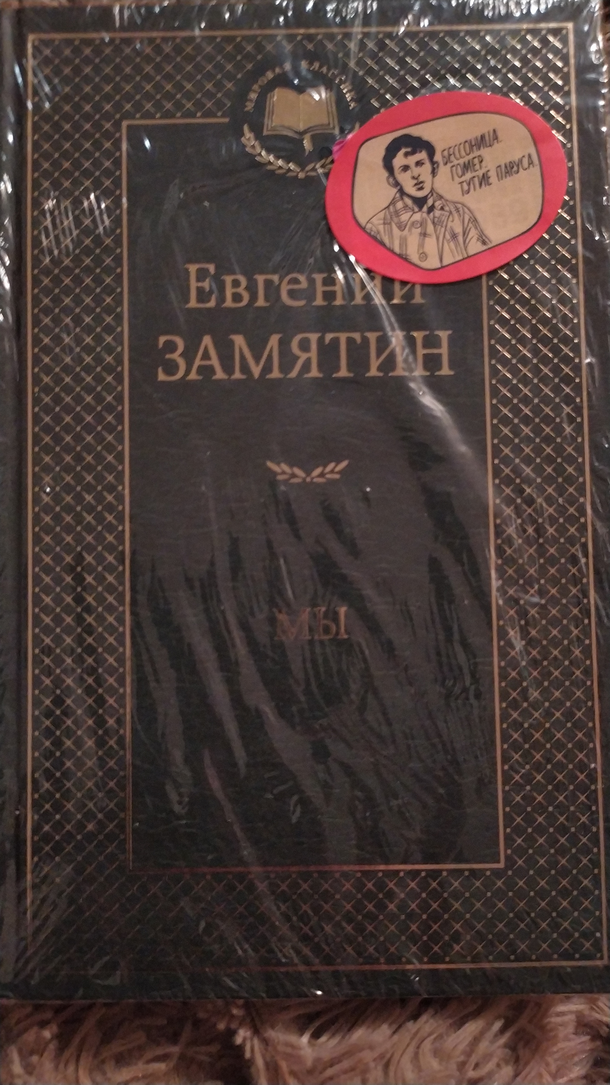 АДМ.Носочно-цветочный обмен. Евпатория - Богандинский | Пикабу