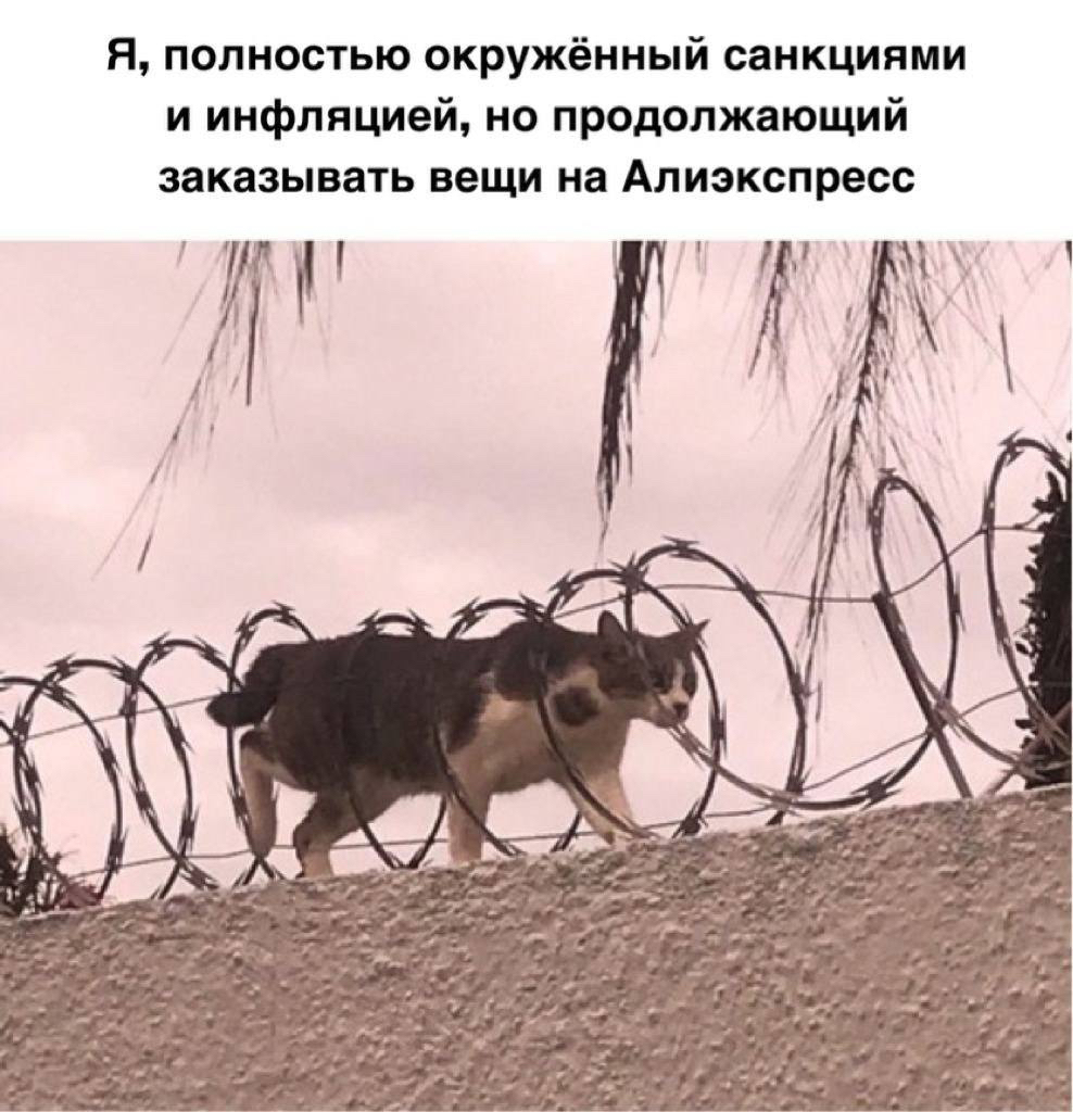 Aliexpress pikabu.monster