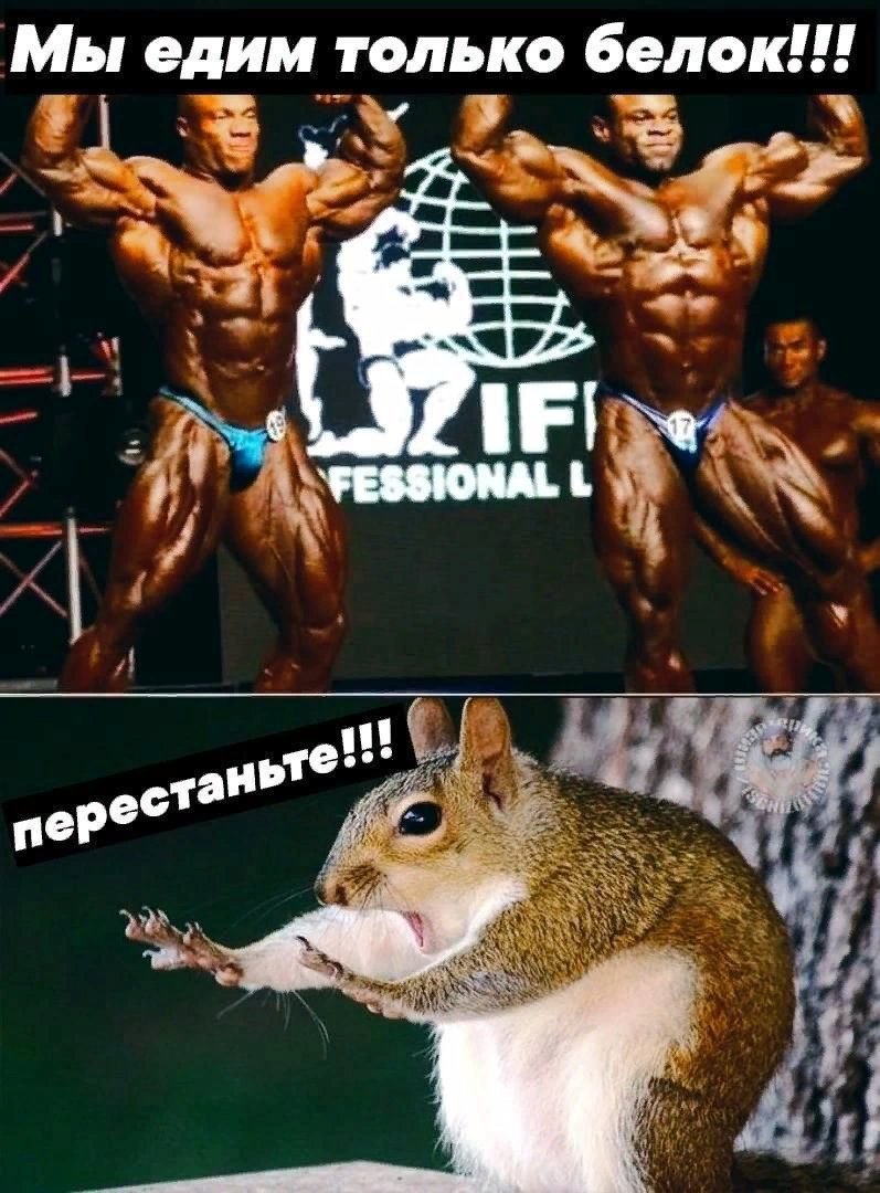 Гурманы | Пикабу