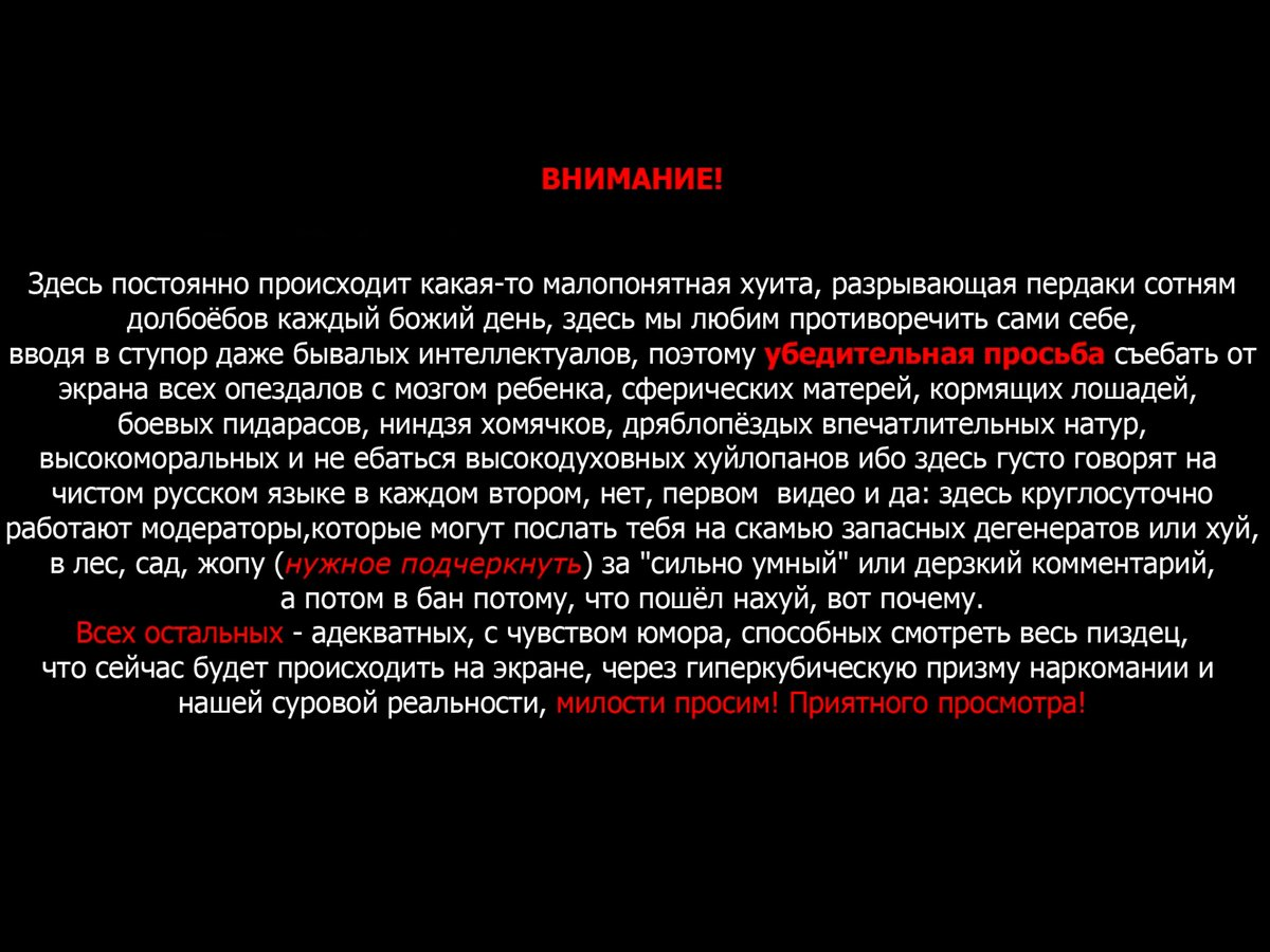 Шаблон для дисклеймера