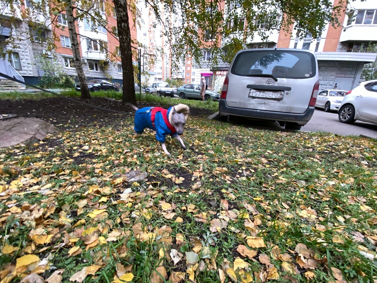 mechan0 — все посты пользователя по времени