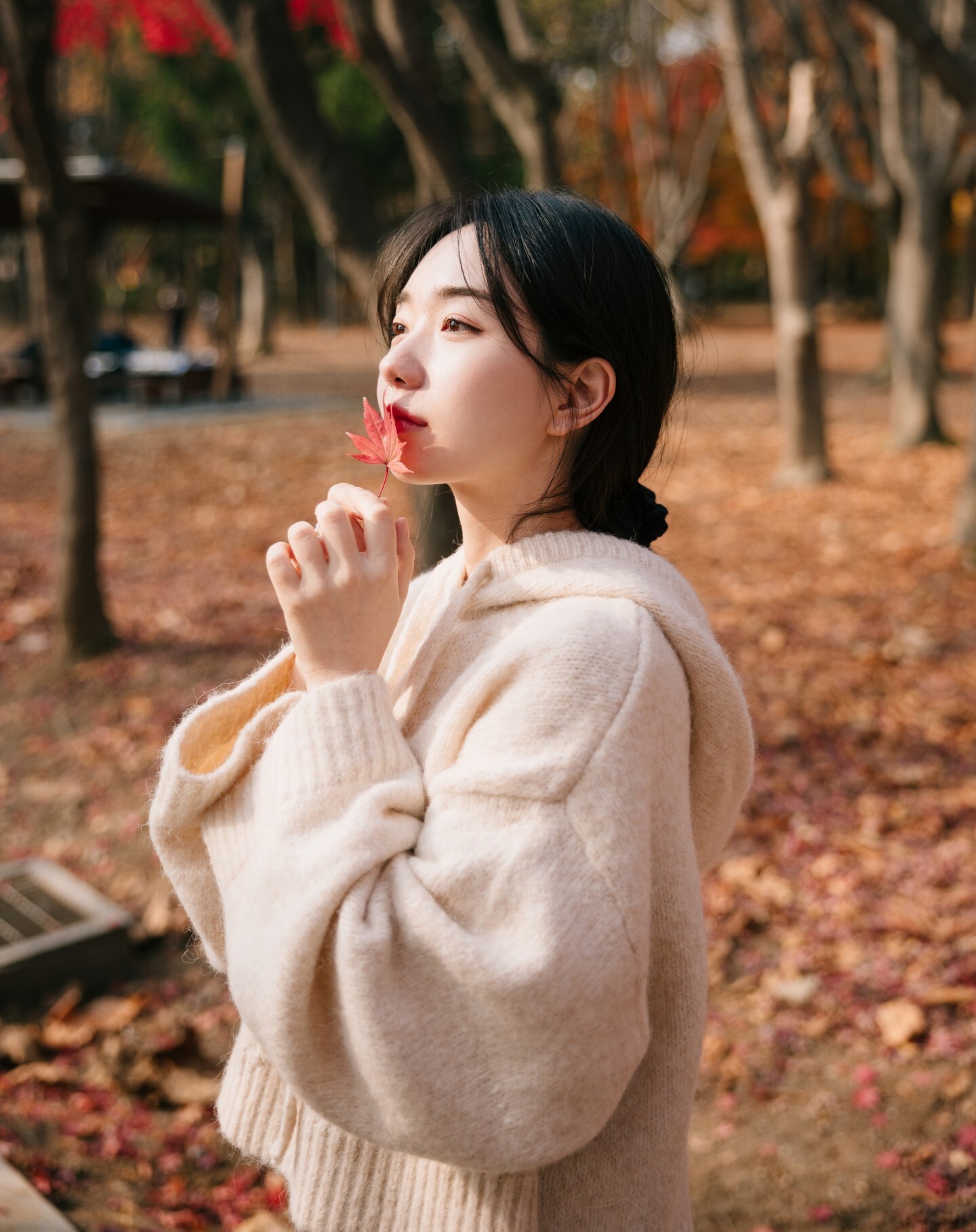 Autumn | Пикабу