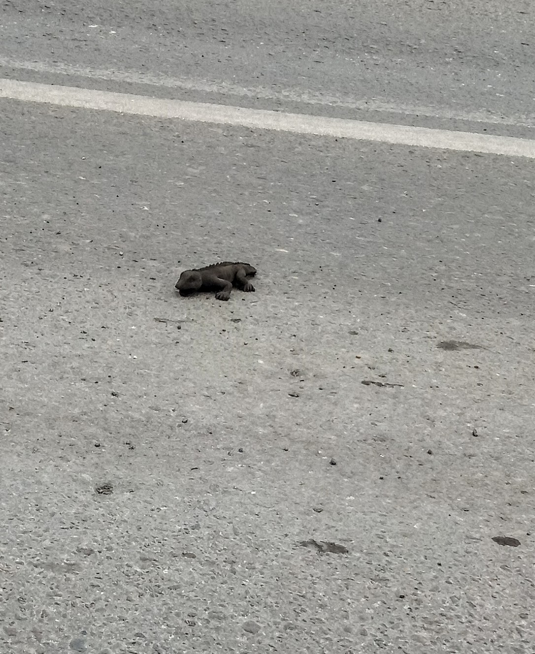 Вероятность встретить динозавра по теории вероятностей 50% ... | Пикабу