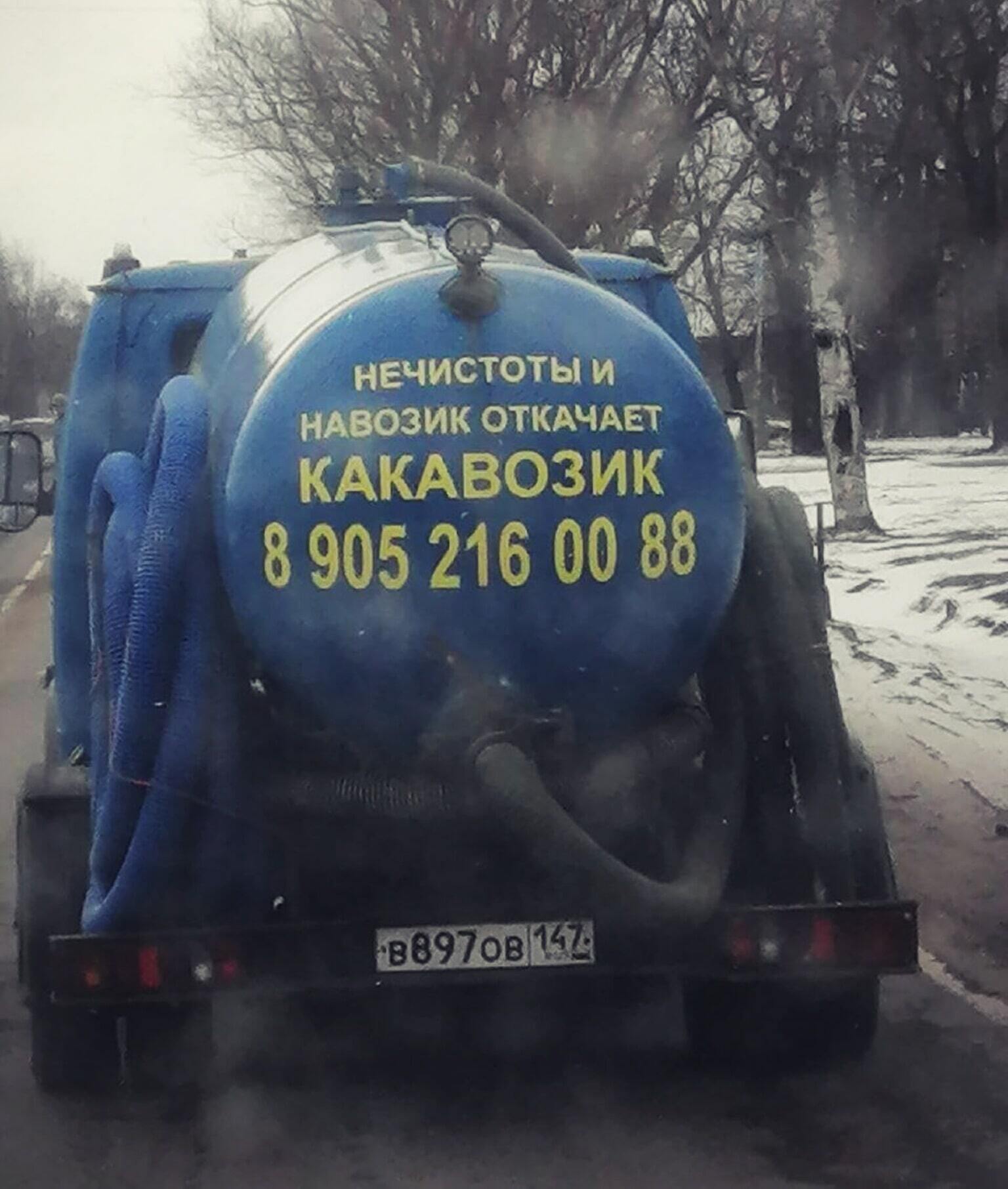 Нечистоты и навозник откачает какавозик картинка