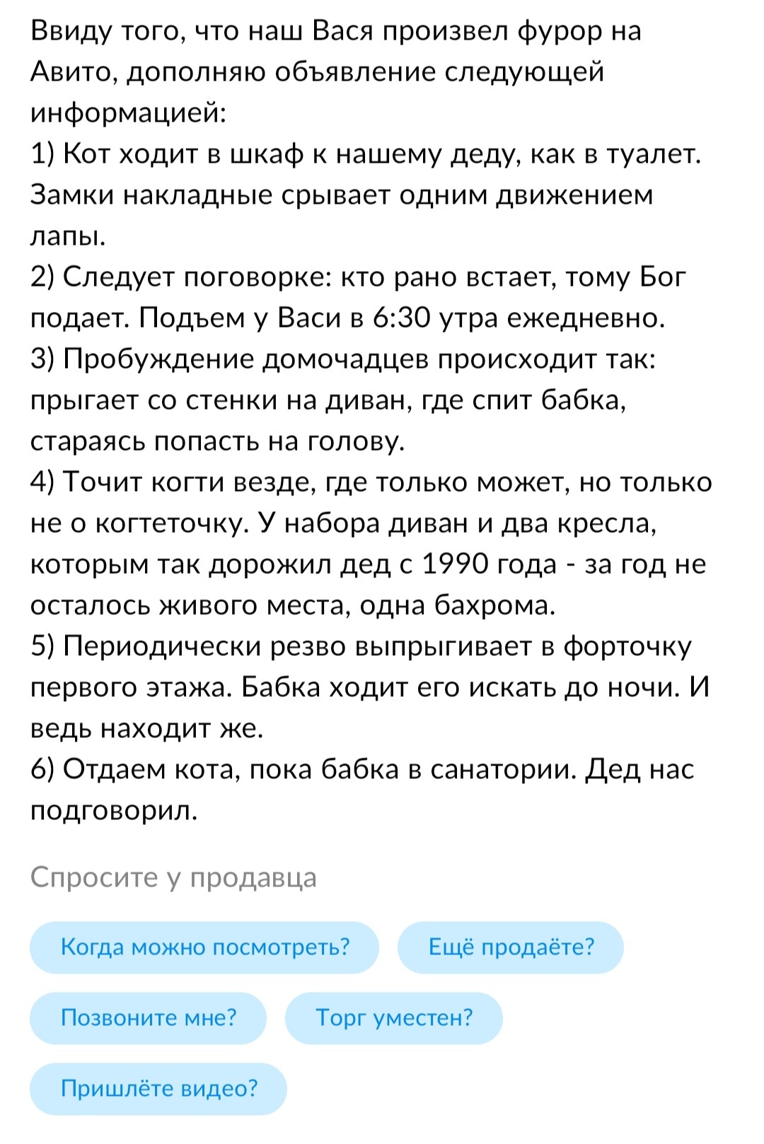 Шерстяной пидр бесплатно или Отдаём кота пока бабка в санатории | Пикабу