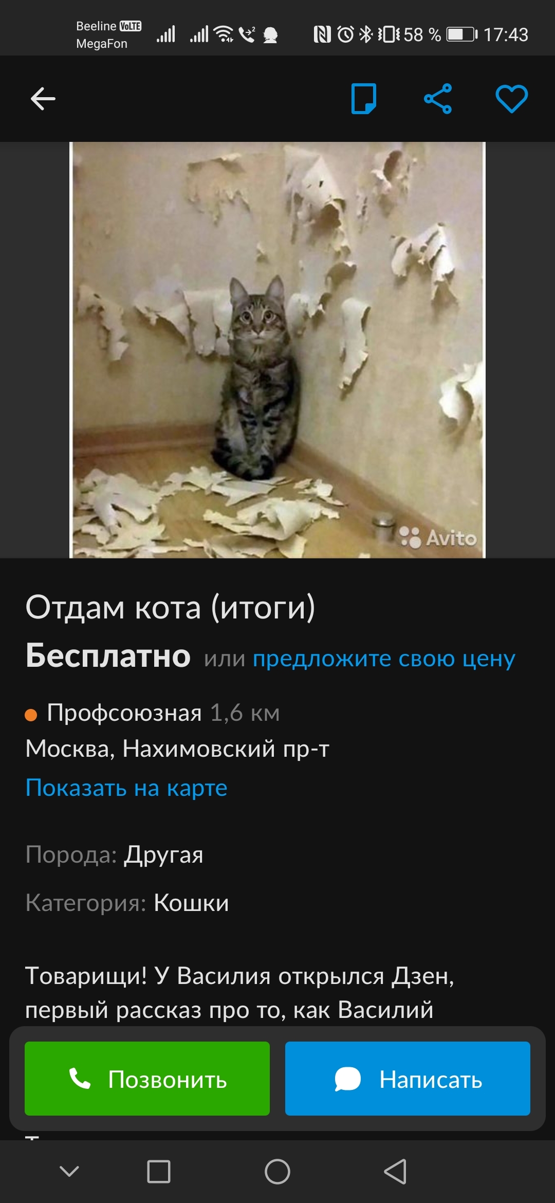 Ответ на пост «Шерстяной пидр бесплатно или Отдаём кота пока бабка в  санатории» | Пикабу