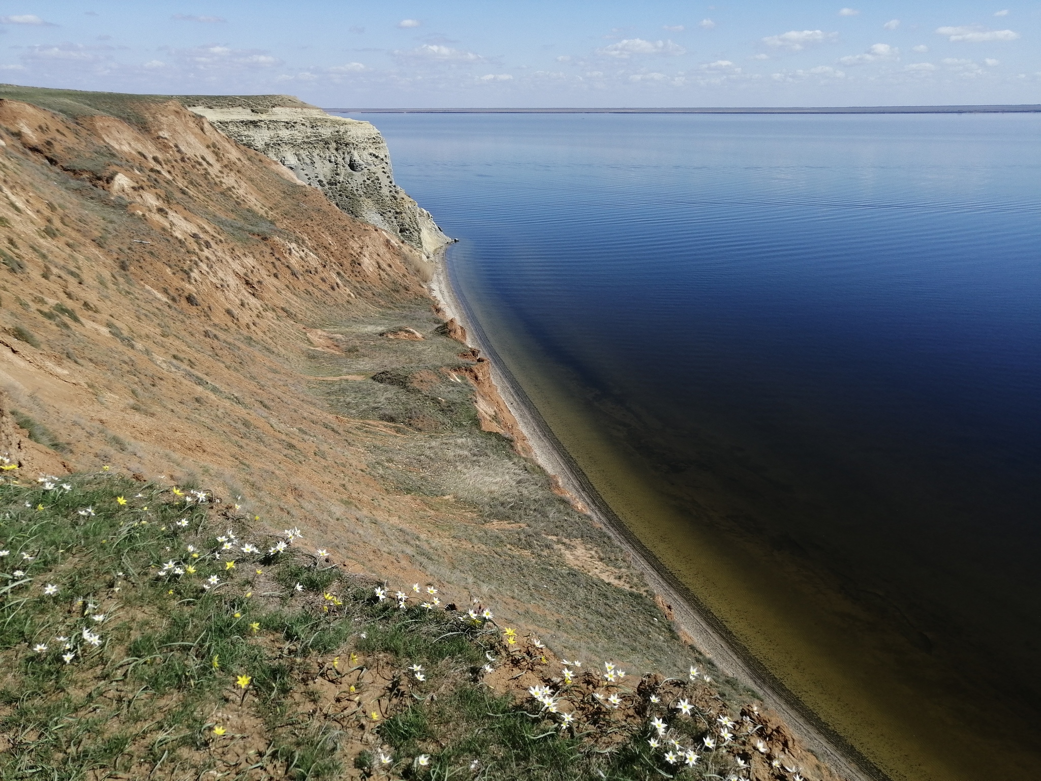 Грабен волгоградская область где находится. Александровский Грабен Волгоградская область. Лиманский Грабен. Станица Суводская. Александровский Грабен Волгоградская область фото.