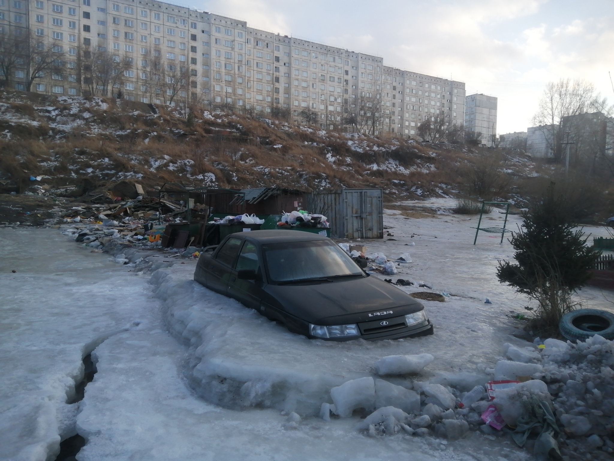 красноярск черемушки на машине (88) фото