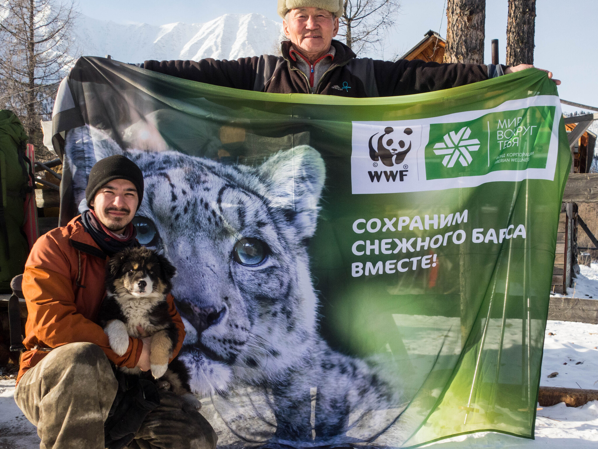 В Бурятии обнаружили минимум шесть снежных барсов | Пикабу