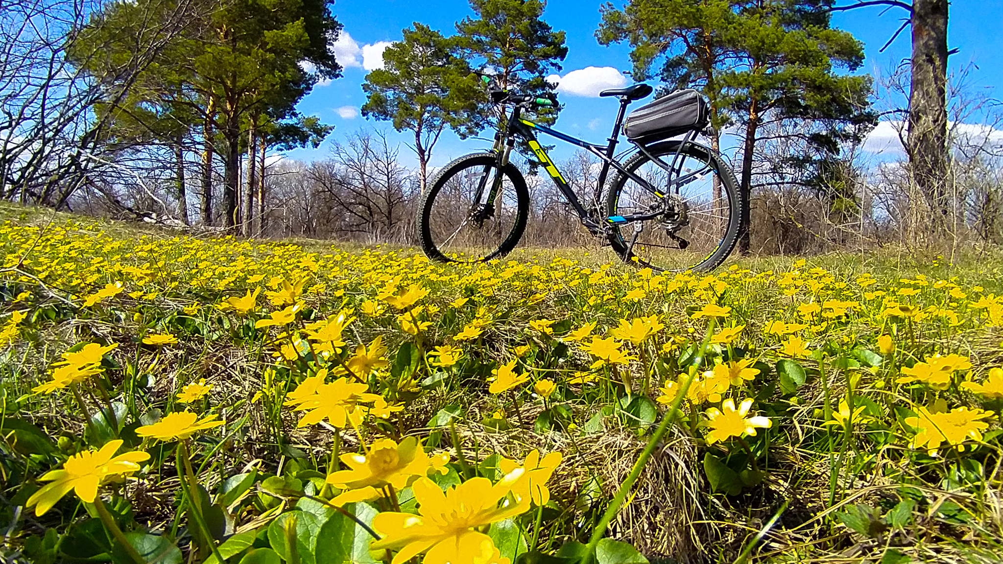 Велопокатушки. Spring Bicycle.