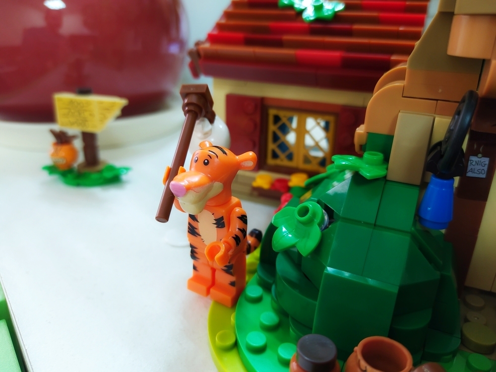 lion king duplo