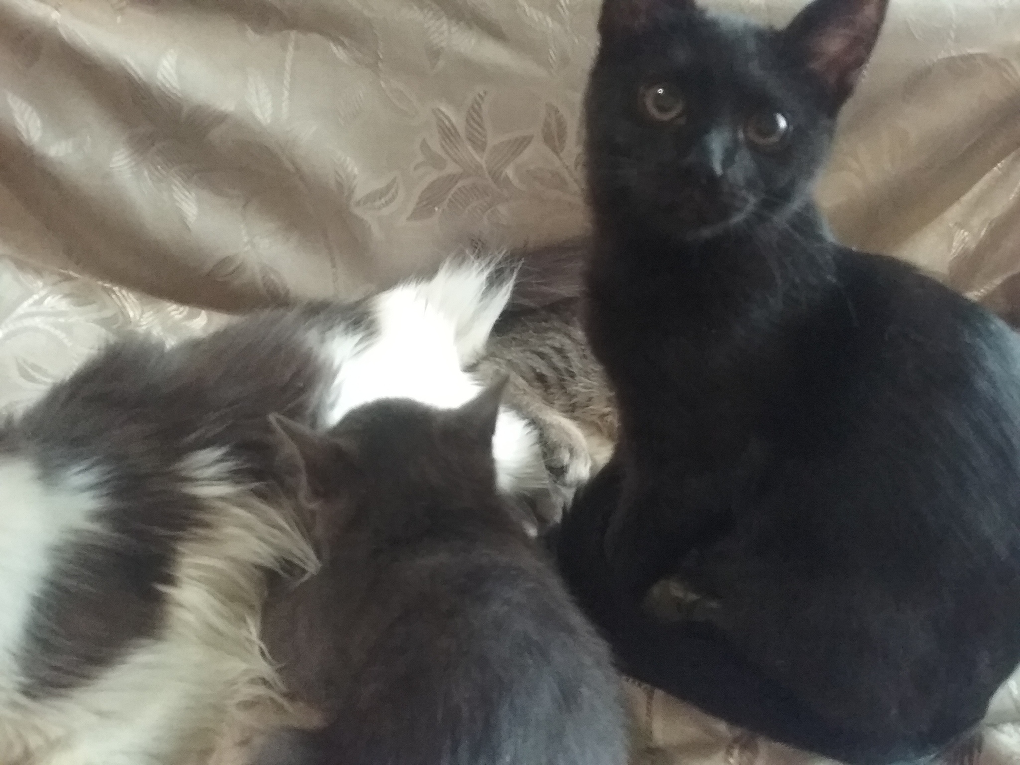 Личинки, и не только | Пикабу