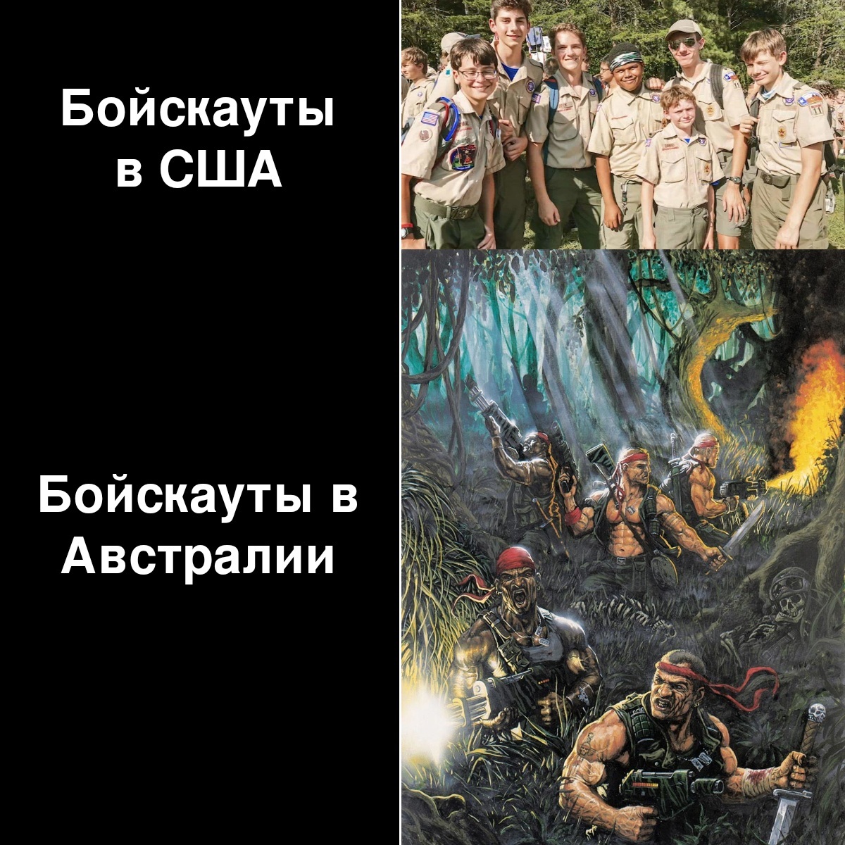 Австралийский Катачан | Пикабу