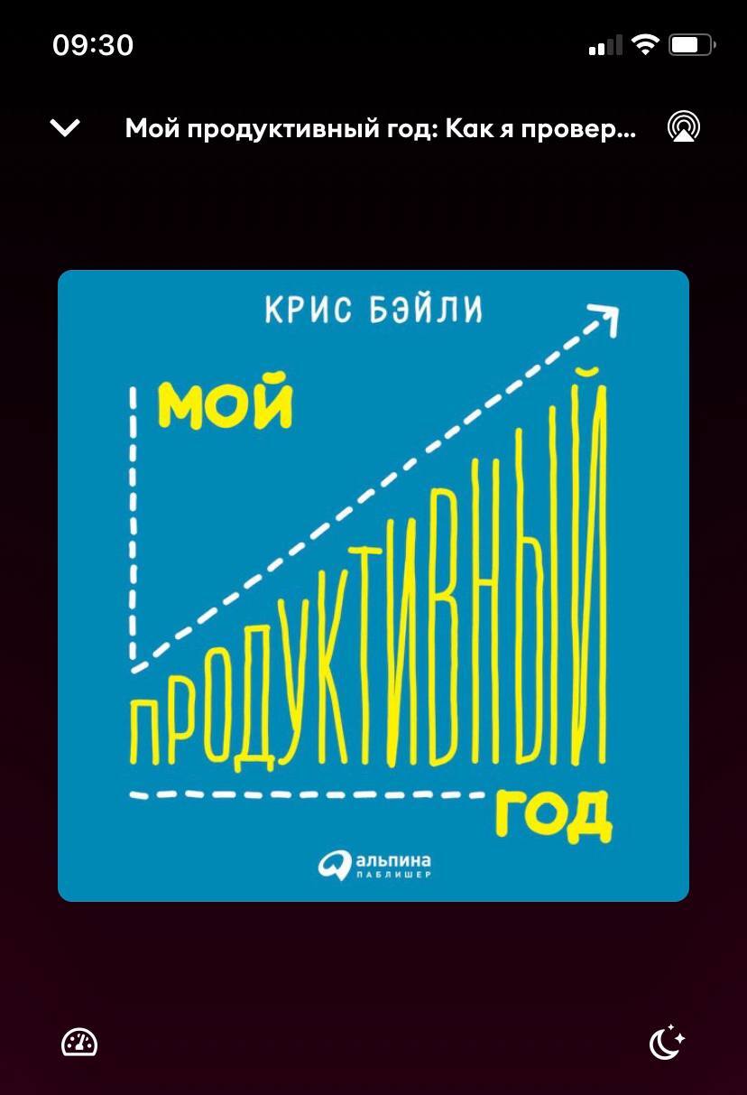 Мой продуктивный год | Пикабу