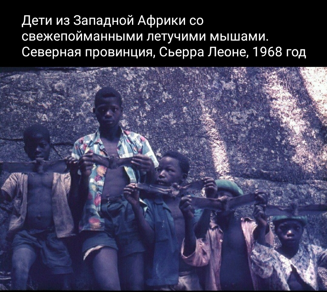 Дети из Западной Африки | Пикабу