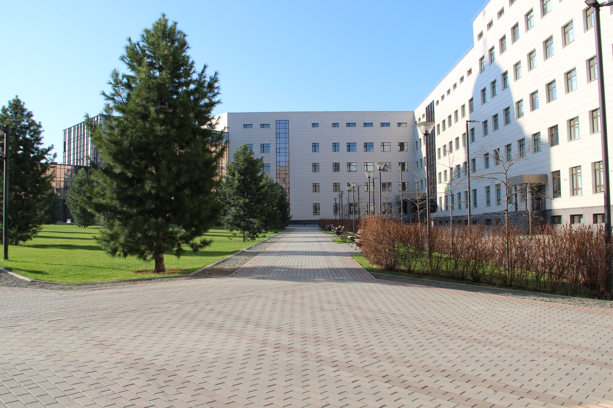 Новосибирский Академгородок. Внутренний двор НГУ. Первые числа мая | Пикабу