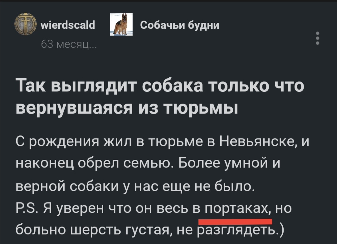 В чужом глазу соринку... | Пикабу