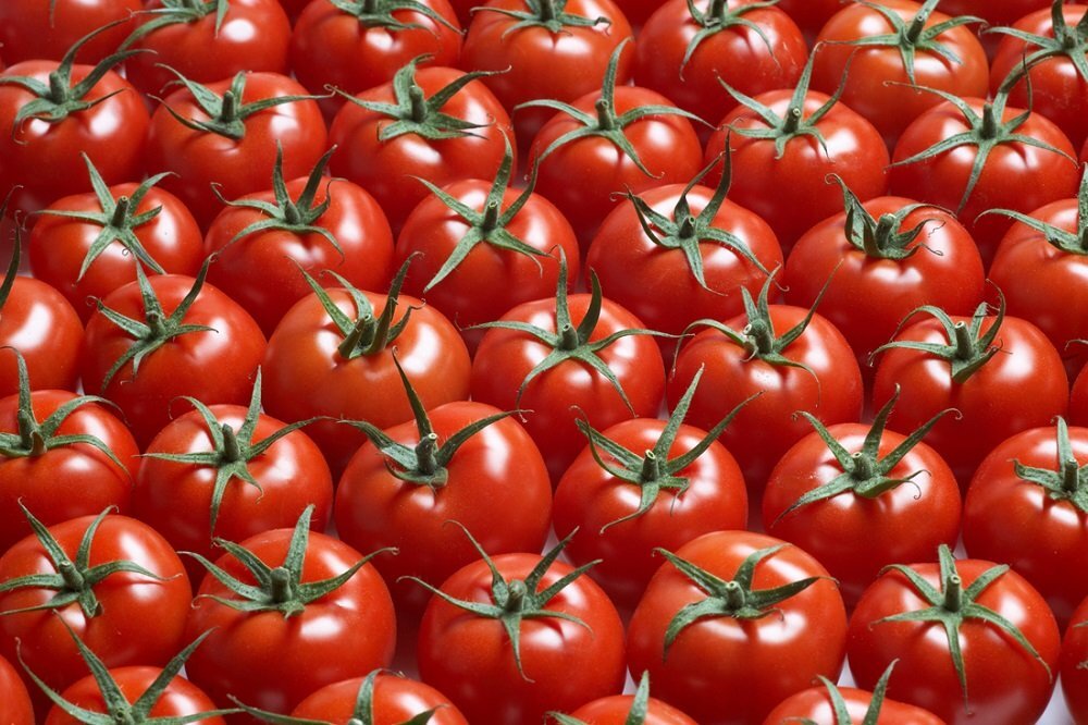 Обзор томатных гозешек. Часть 8