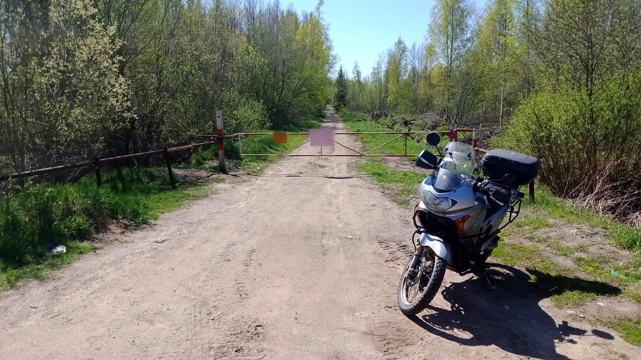 Ночь в лесу, или Не эндурьте в одиночку | Пикабу