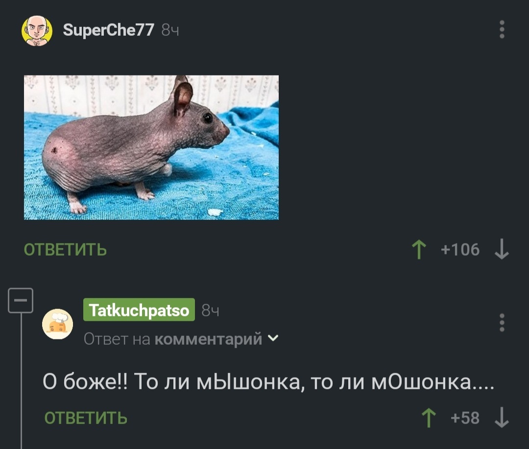 М[ы/о]шонка | Пикабу