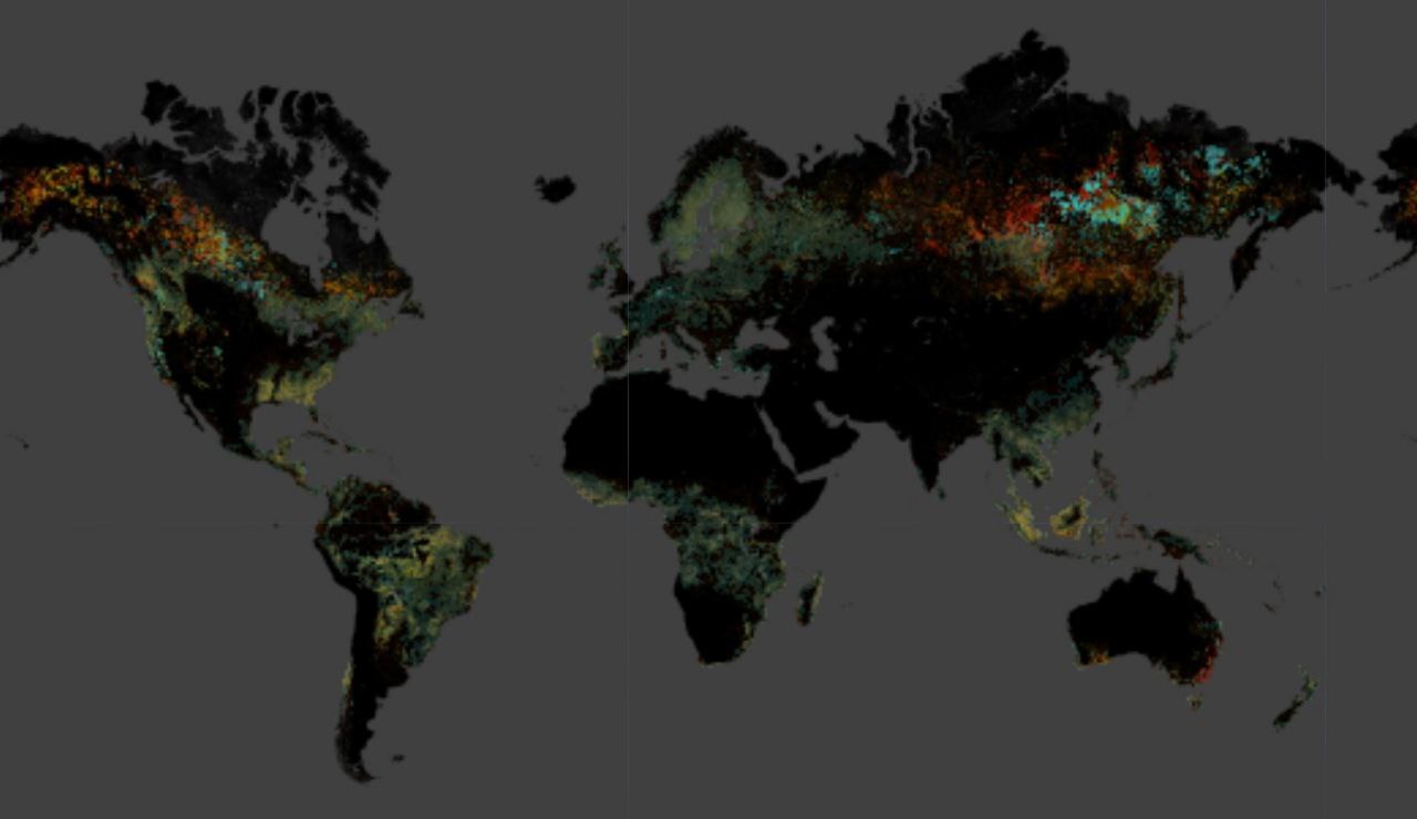Карта вырубки лесов