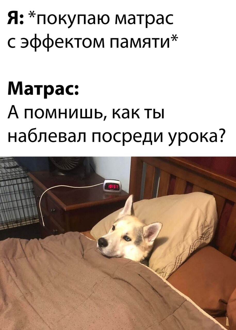 Матрас | Пикабу